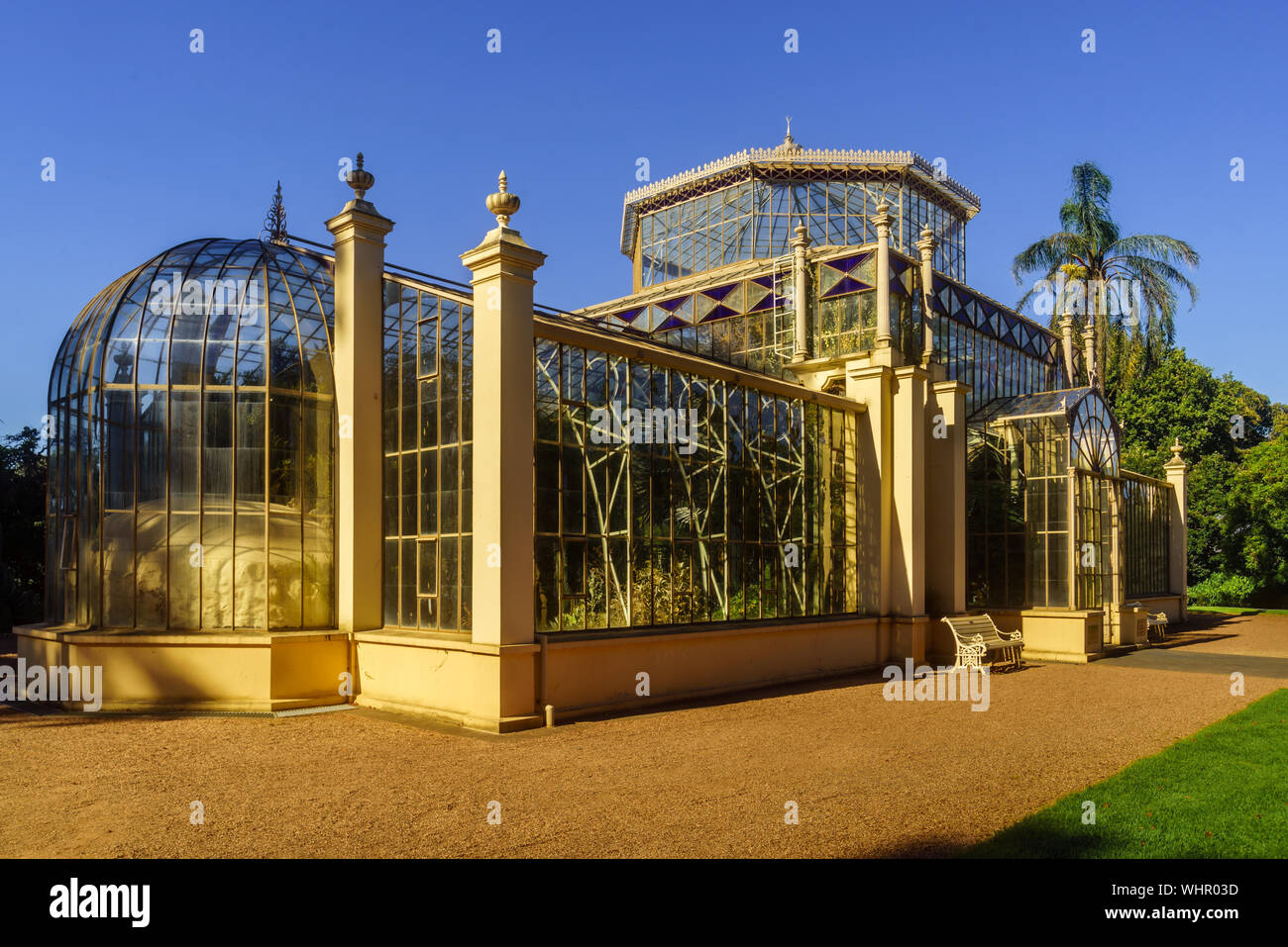 La Palm House, une serre véranda construite en 1875 et aujourd'hui entouré de cactus et plantes grasses à Adélaïde, SA, Australie Banque D'Images