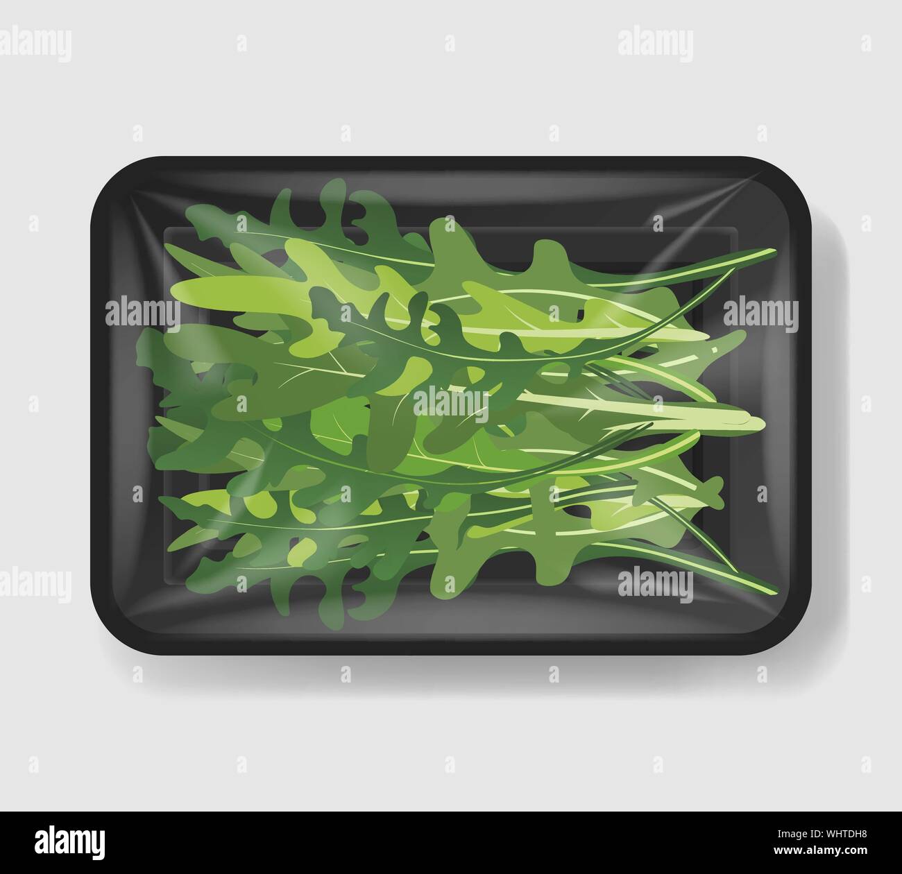 Salade de feuilles avec plateau en plastique contenant avec couvercle de la cellophane. Modèle de maquette pour votre conception. Récipient alimentaire en plastique. Vector illustration. Illustration de Vecteur