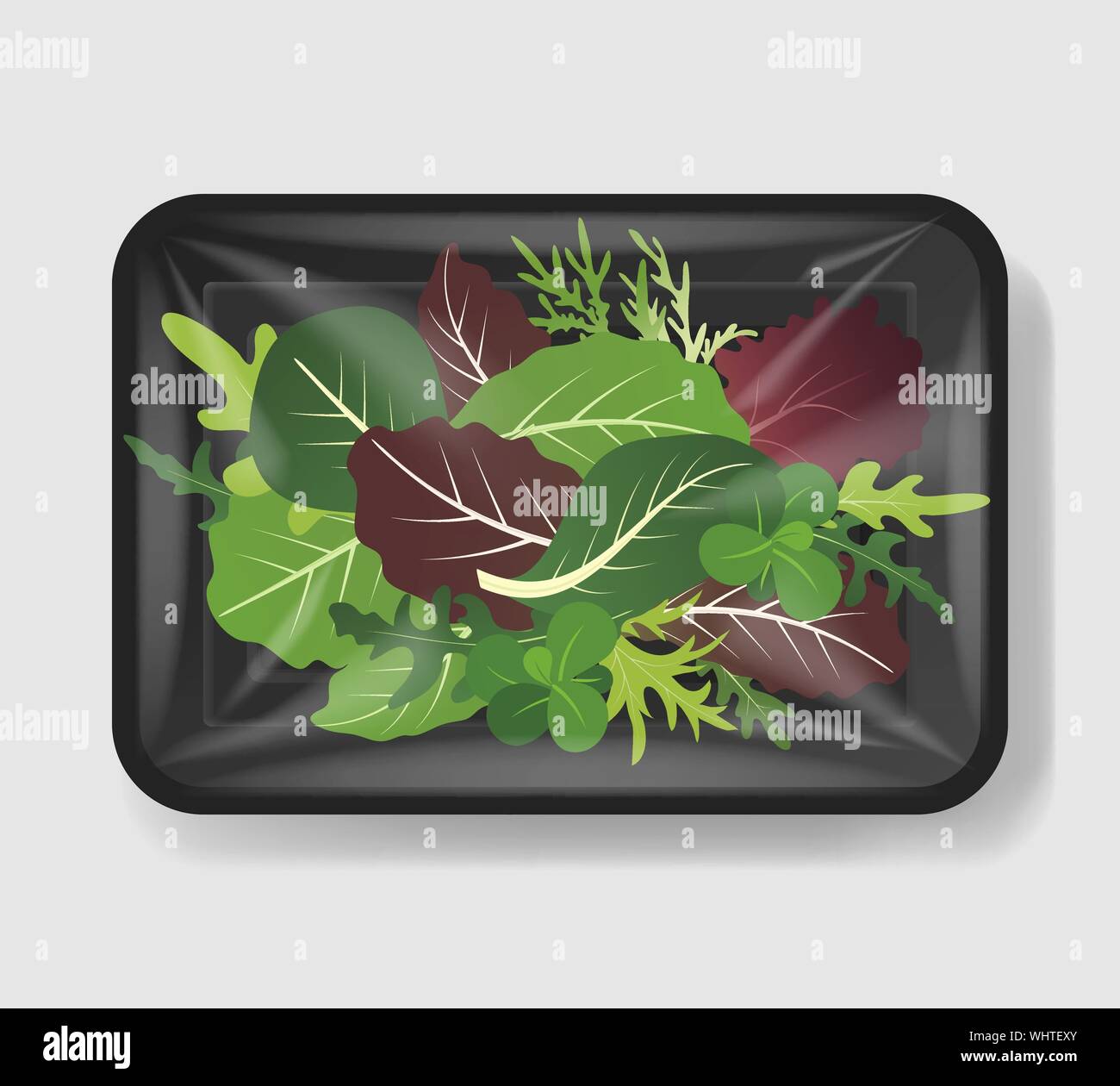 Mélange de feuilles de salade dans le bac en plastique contenant avec couvercle de la cellophane. Modèle de maquette pour votre conception. Récipient alimentaire en plastique. Vector illustration. Illustration de Vecteur