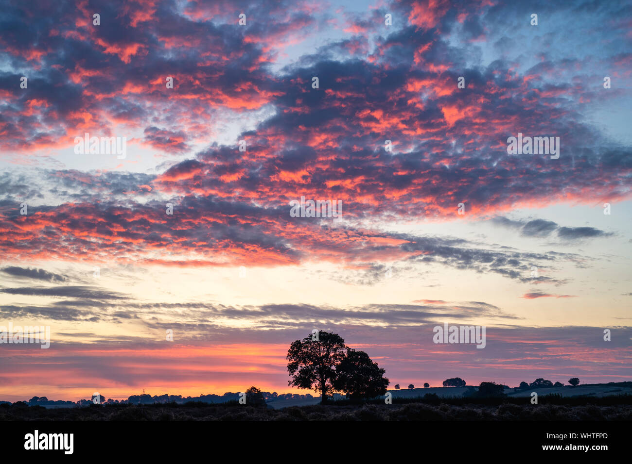 Le rouge et le bleu ciel nuageux au lever du soleil dans la campagne du Warwickshire. Le Warwickshire, Angleterre Banque D'Images