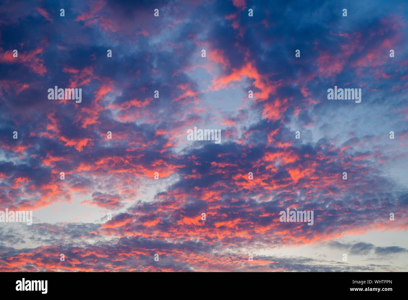 Le rouge et le bleu ciel nuageux au lever du soleil dans la campagne du Warwickshire. Le Warwickshire, Angleterre Banque D'Images