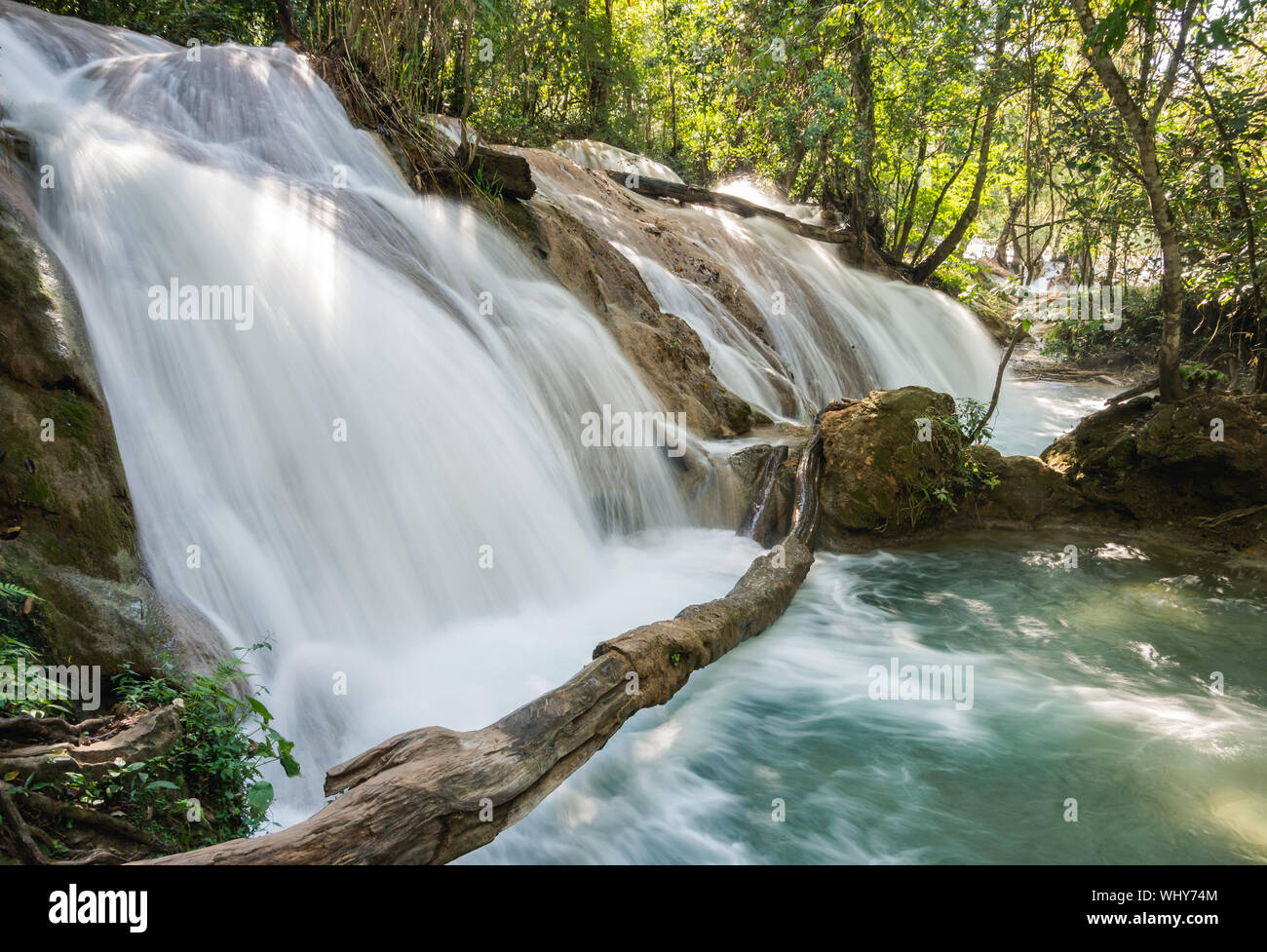 Les chutes d'Agua Azul, Chiapas, Mexique. Banque D'Images