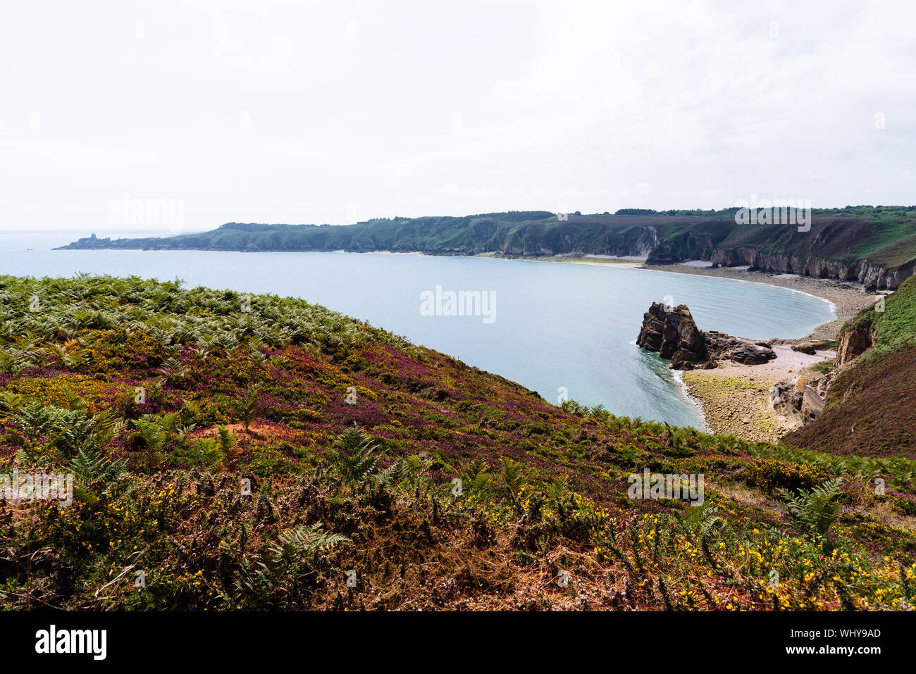 Vue panoramique sur le Cap Fréhel et le Fort La Latte, Bretagne, France. Océan Atlantique Littoral français Banque D'Images