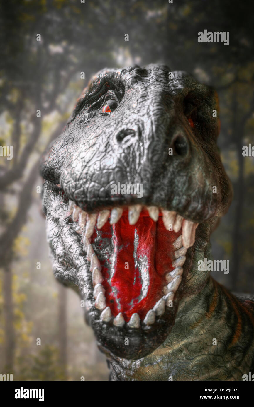 Dinosaure tyrannosaurus rex gronde dans la forêt Banque D'Images