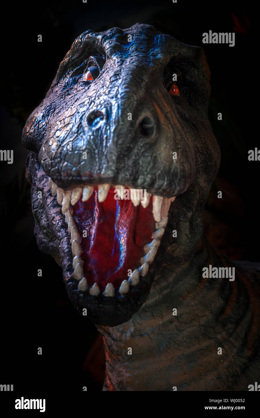Dinosaure tyrannosaurus rex gronde dans la forêt Banque D'Images
