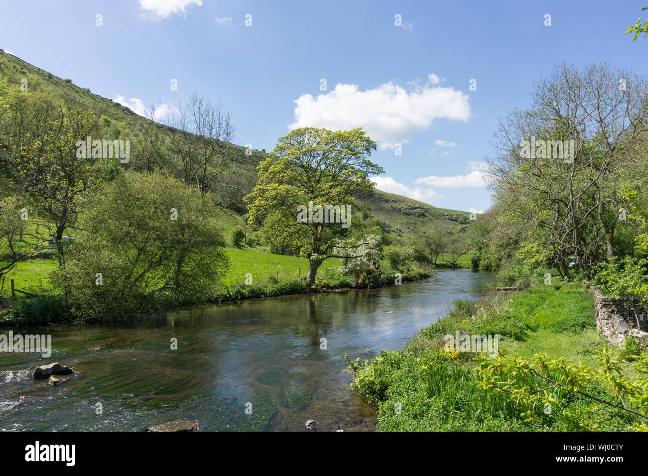 La rivière Wye dans Upperdale au début de l'été ensoleillé sur une journée ; Peak District, Derbyshire, Royaume-Uni Banque D'Images