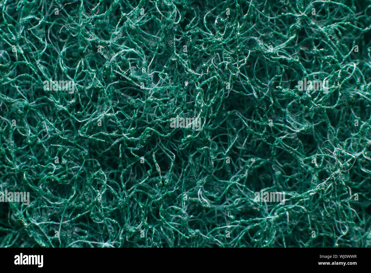 La texture de l'éponge de lavage détaillées Banque D'Images