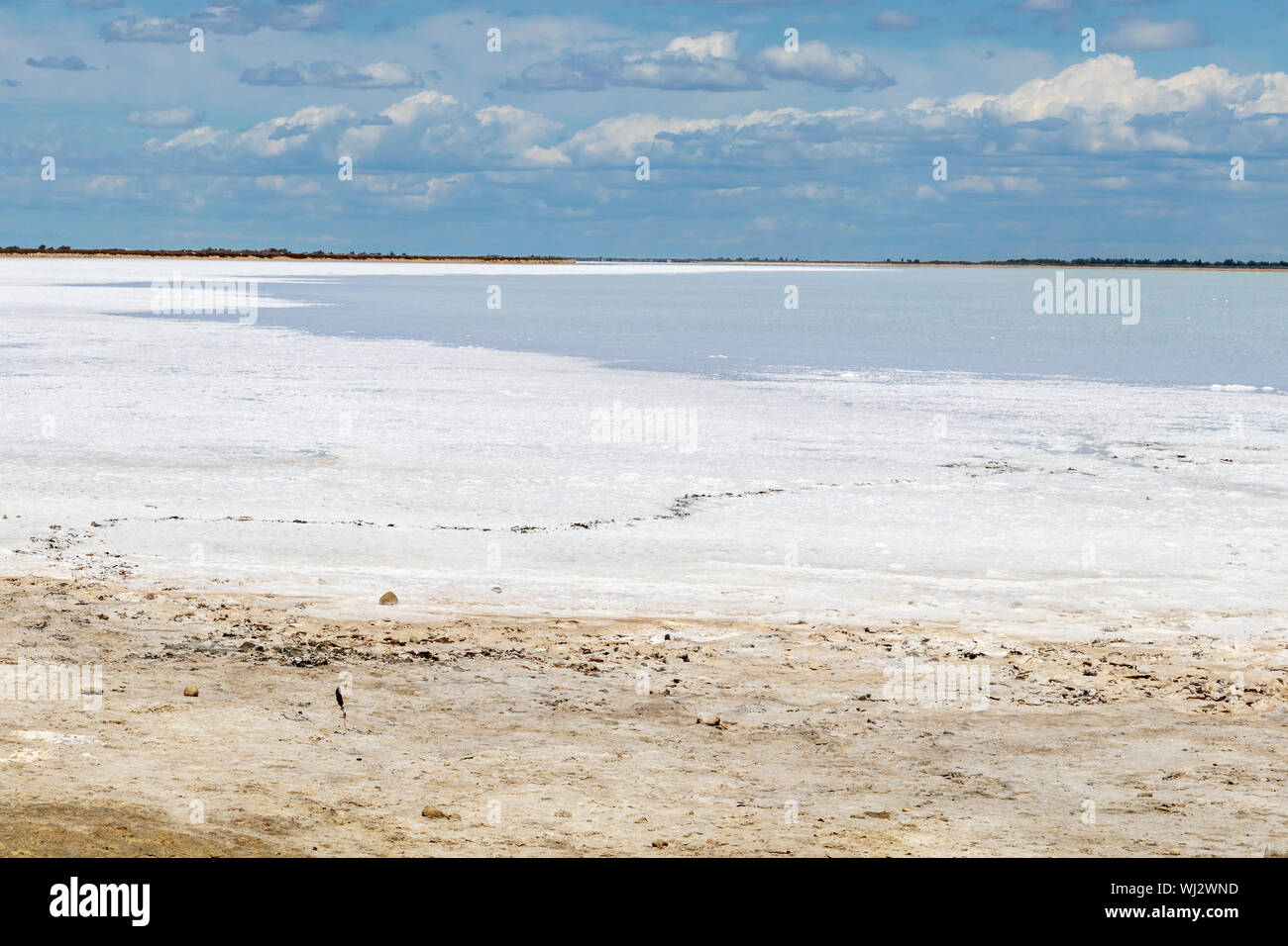 Lac de sel blanc Camargue, etang lagune d'eau salée entourée de dunes de sable entre la mer Méditerranée et delta du Rhône, Parc Naturel Régional des Banque D'Images