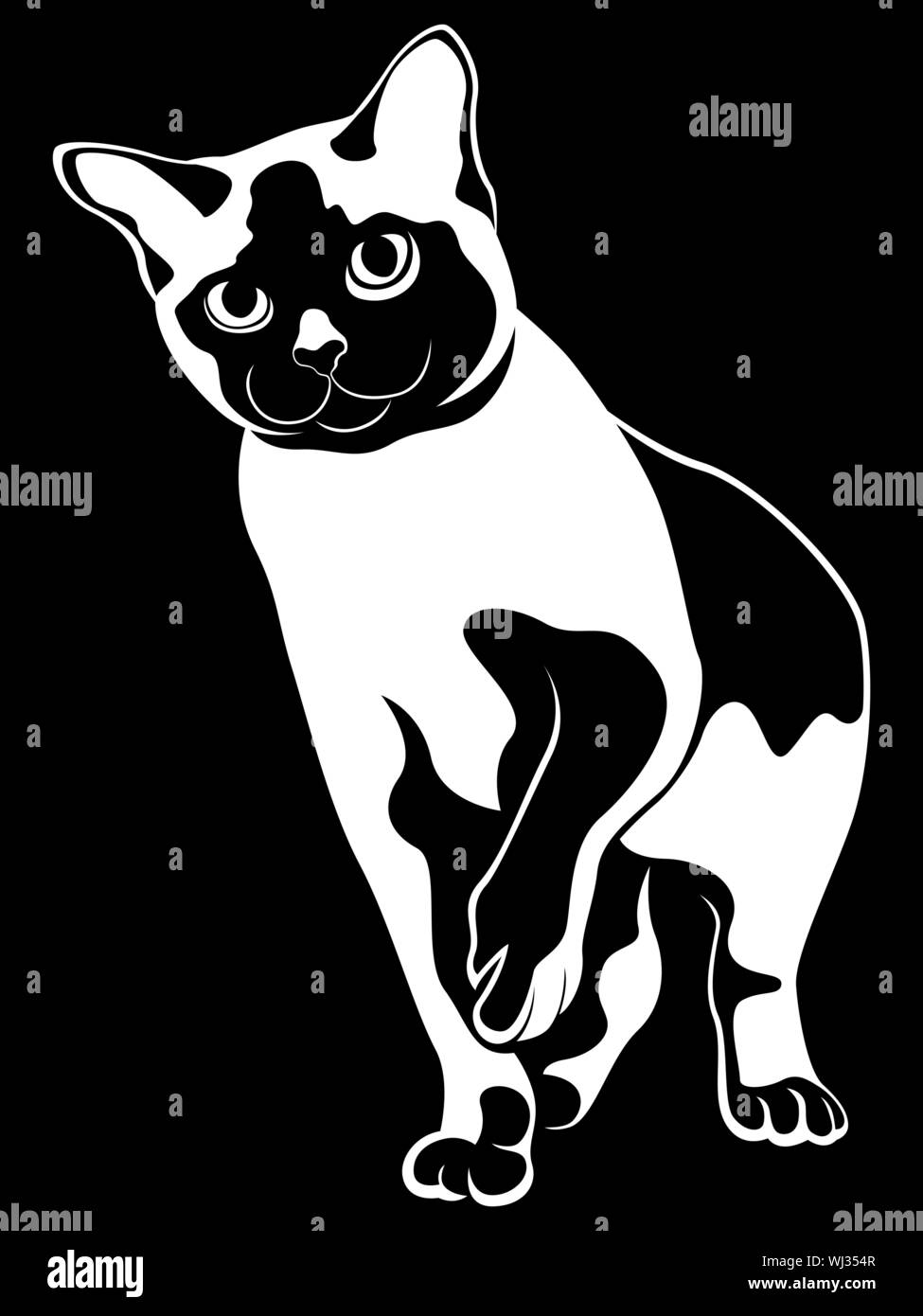 Abstract vector black cat pochoir, dessin à la main sur fond blanc Illustration de Vecteur