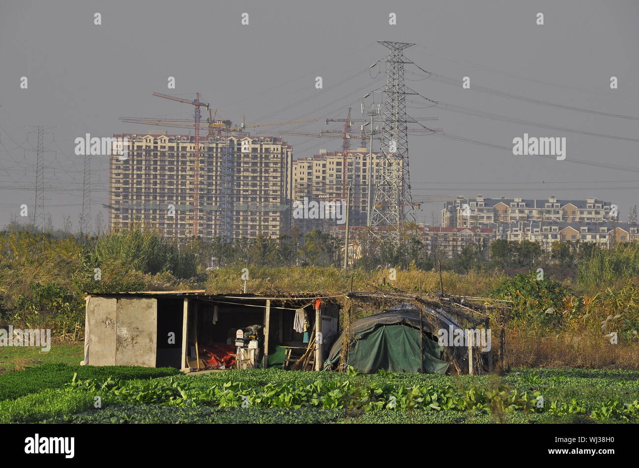 Un tmakeshift l'encadreur accueil passible d'être démoli comme Développement des capacités prend le dessus. L'Est de la Chine, Nantong, Province du Jiangsu, Chine Banque D'Images