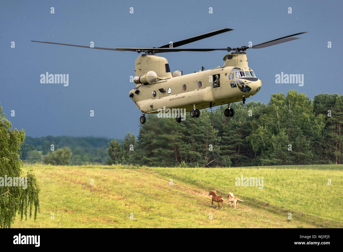 Hélicoptère militaire lourd CH-47 Chinook Banque D'Images