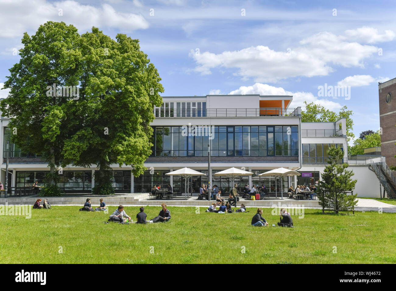 Voir, l'architecture, à l'extérieur, à l'extérieur, à l'extérieur vue, vue extérieure, Berlin, campus, Dahlem, Dahlemer, l'Allemagne, l'université libre, université libre, un Banque D'Images