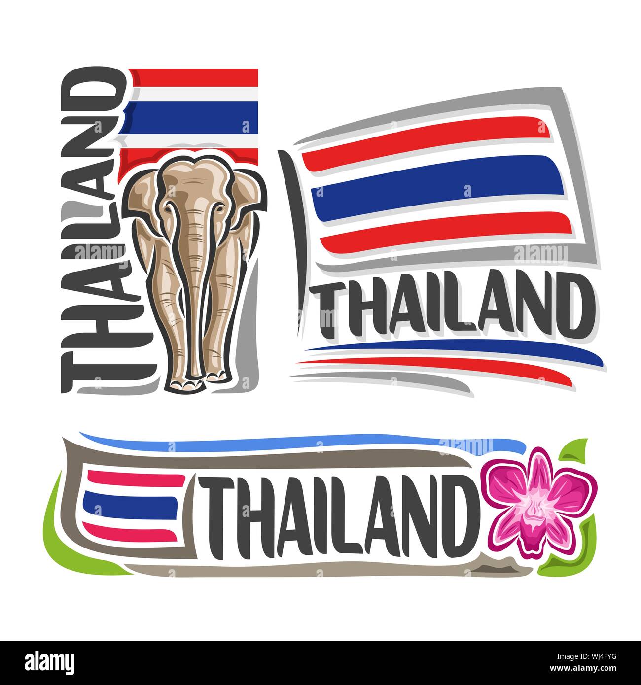 Logo Vector pour la Thaïlande, 3 images isolées : bannière verticale avec royal éléphant blanc sur fond de drapeau national thaïlandais et violet thai orchi Illustration de Vecteur