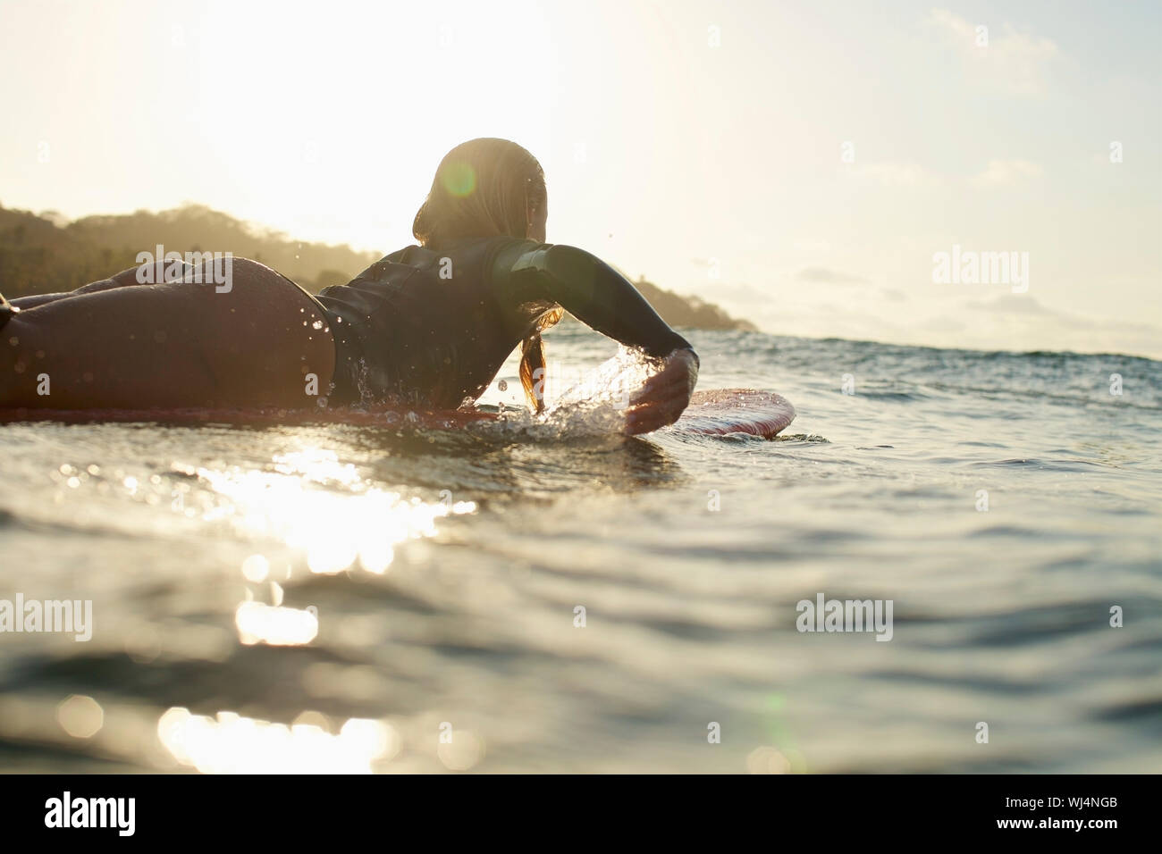 Femme surfer sur la pagaie, soleil coucher soleil océan Banque D'Images