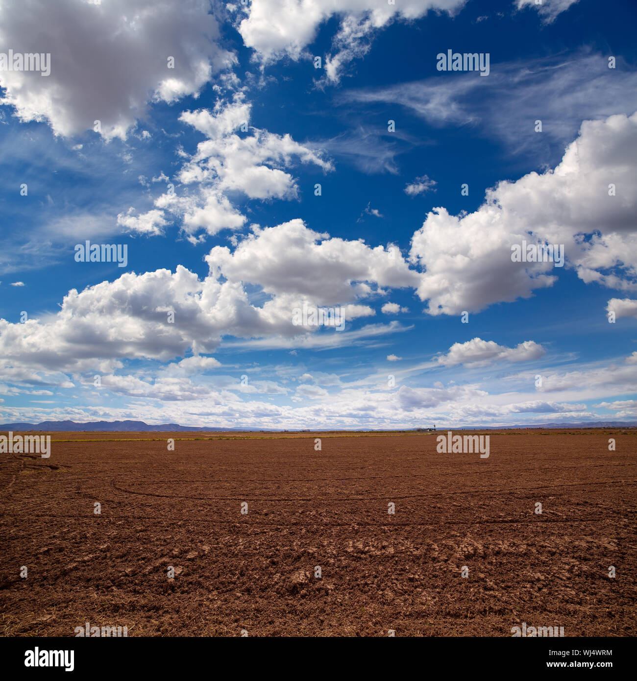 Champs de riz céréales en jachère après la récolte à l'Espagne Méditerranéenne Banque D'Images Champs de riz céréales en jachère après la récolte à l'Espagne Méditerranéenne Banque D'Images