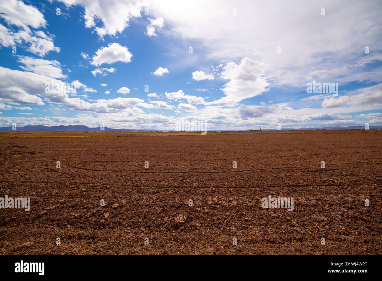 Champs de riz céréales en jachère après la récolte à l'Espagne Méditerranéenne Banque D'Images Champs de riz céréales en jachère après la récolte à l'Espagne Méditerranéenne Banque D'Images