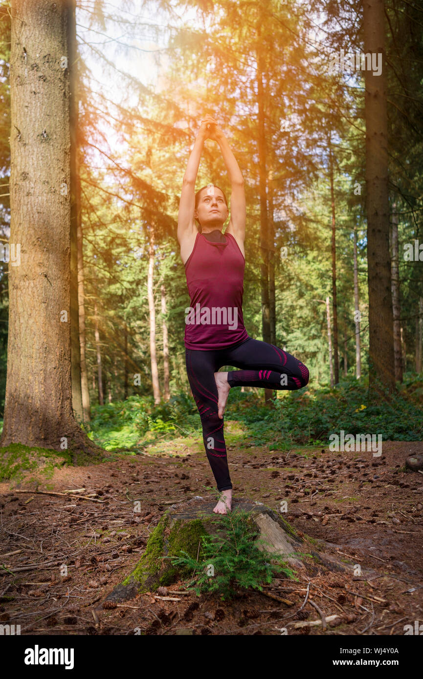 Woman standing in a forest fait un yoga posture de l'arbre. Banque D'Images Woman standing in a forest fait un yoga posture de l'arbre. Banque D'Images