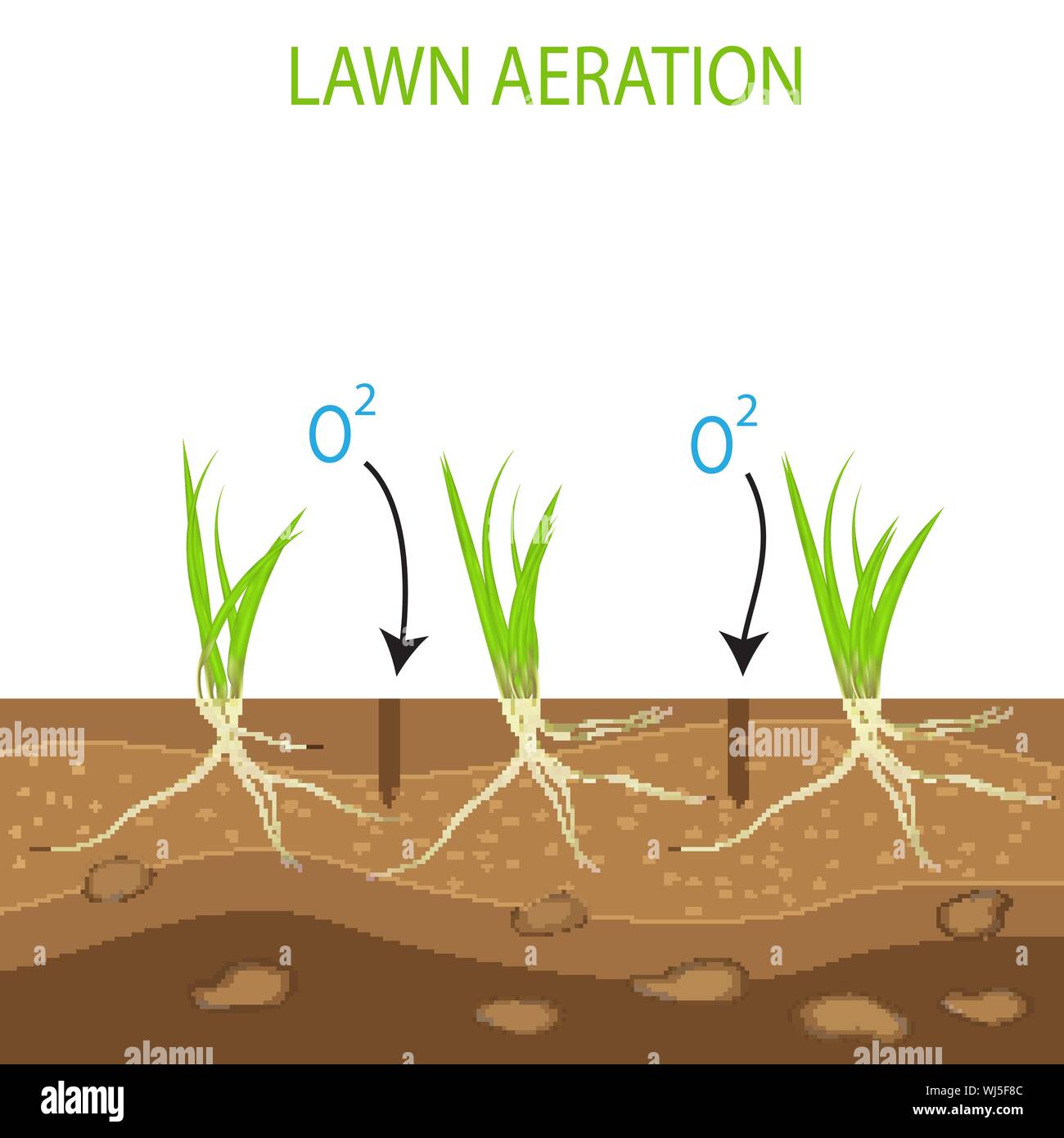 Les pelouses de jardinage, en conception de services. Vecteur sur fond blanc.pelouse verte avec sur le terrain dans le contexte de l'avantage d'aération. Illustration de Vecteur