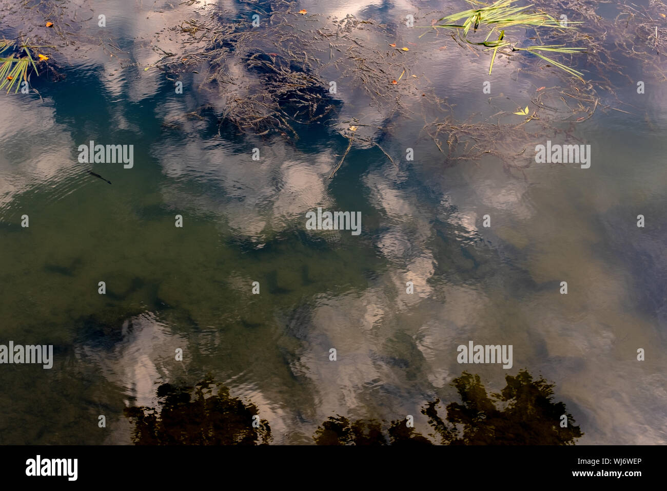 Réflexion sur le ciel sombre, presque toujours de l'eau, avec peu de plantes aquatiques, Marne, Nogent-sur-Marne, France Banque D'Images