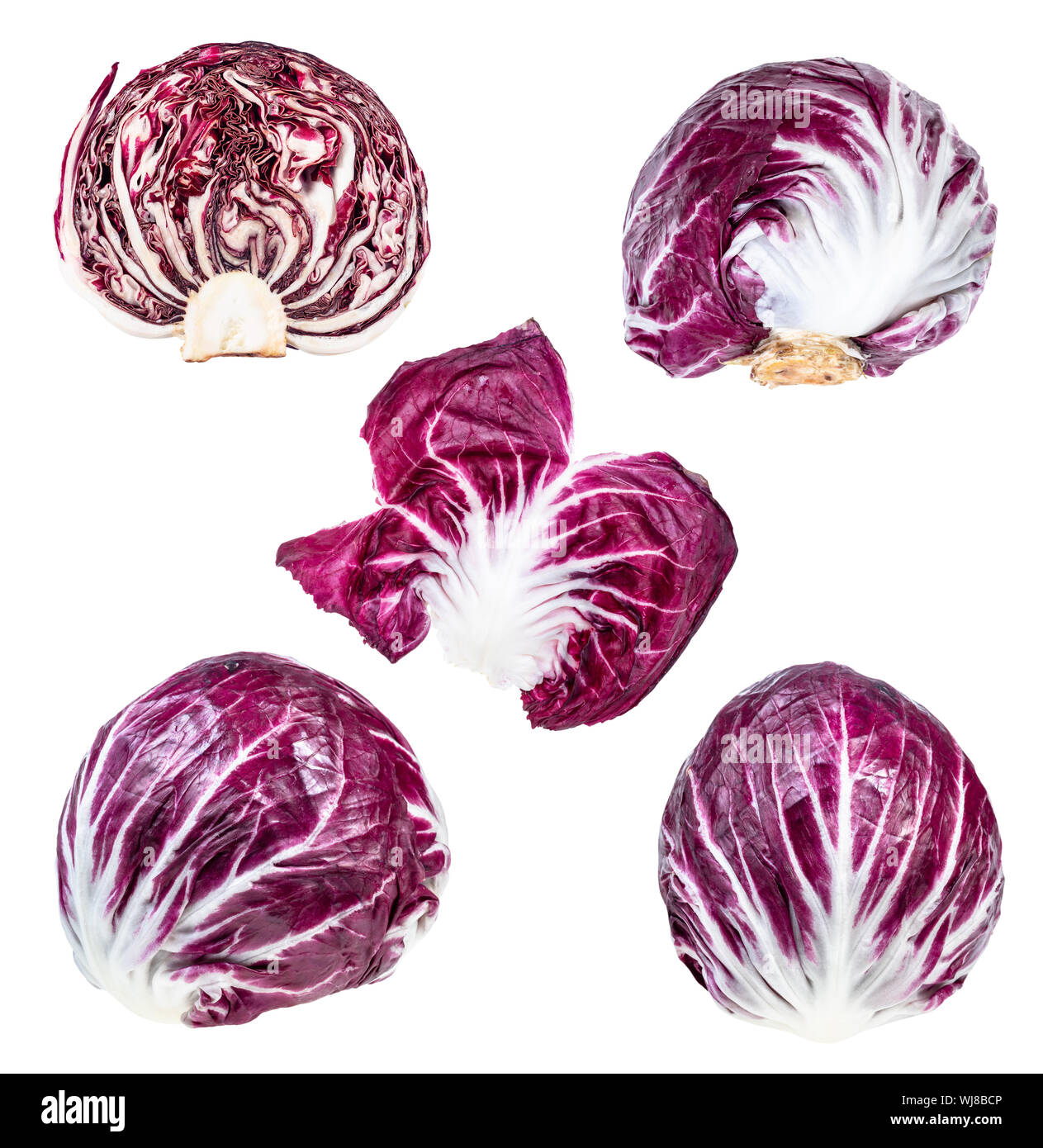 Divers chefs frais et de feuilles de radicchio (chicorée feuilles italien) découper sur fond blanc Banque D'Images