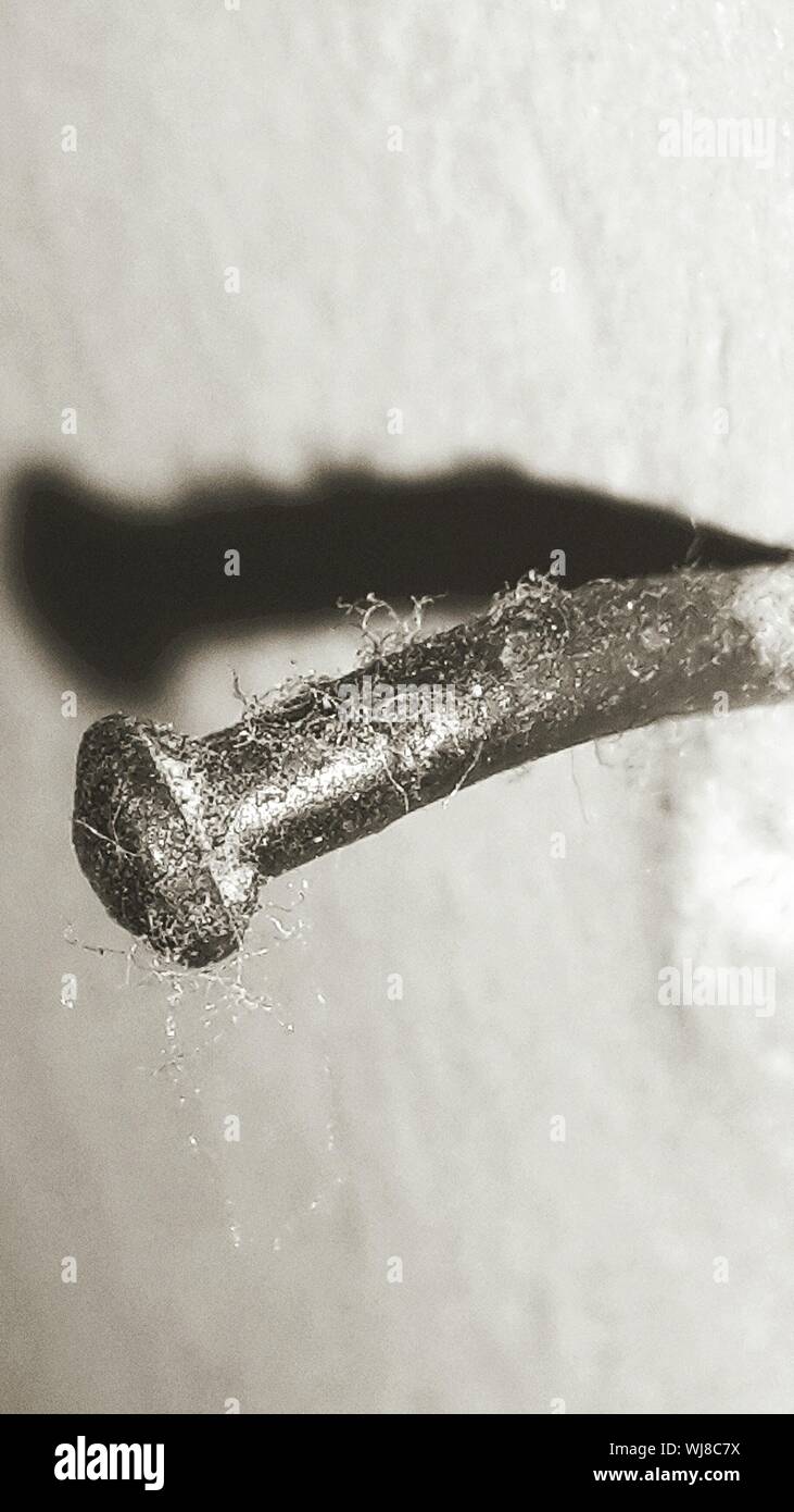 Clou dans le mur Banque de photographies et d’images à haute résolution Alamy
