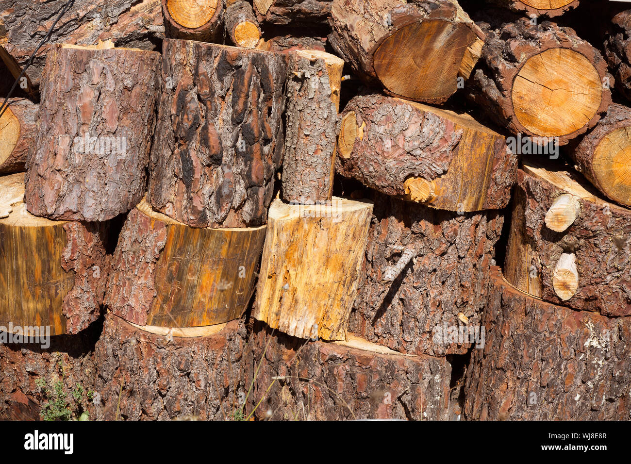 Bois de chauffage de pin empilées dans une rangée à l'Espagne Photo Stock -  Alamy