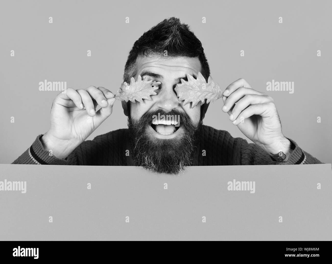 Guy avec visage souriant sur fond orange, copiez l'espace. L'automne et de feuilles mortes concept. Saison d'automne et de style hippie. Homme à barbe est titulaire en chêne sec de feuilles d'arbres sur ses yeux Banque D'Images