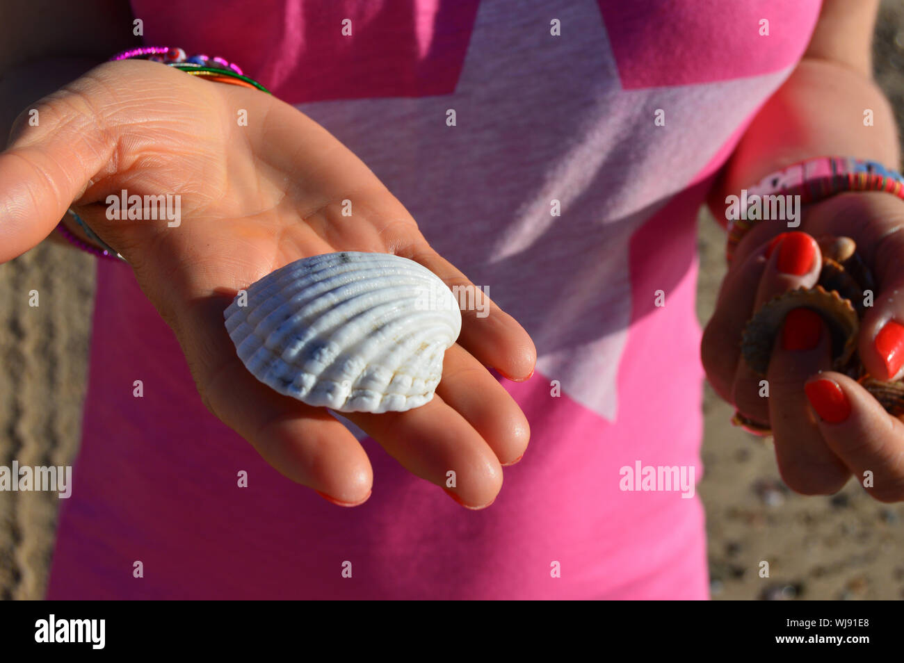 Midsection of Woman Holding Seashells At Beach Banque D'Images