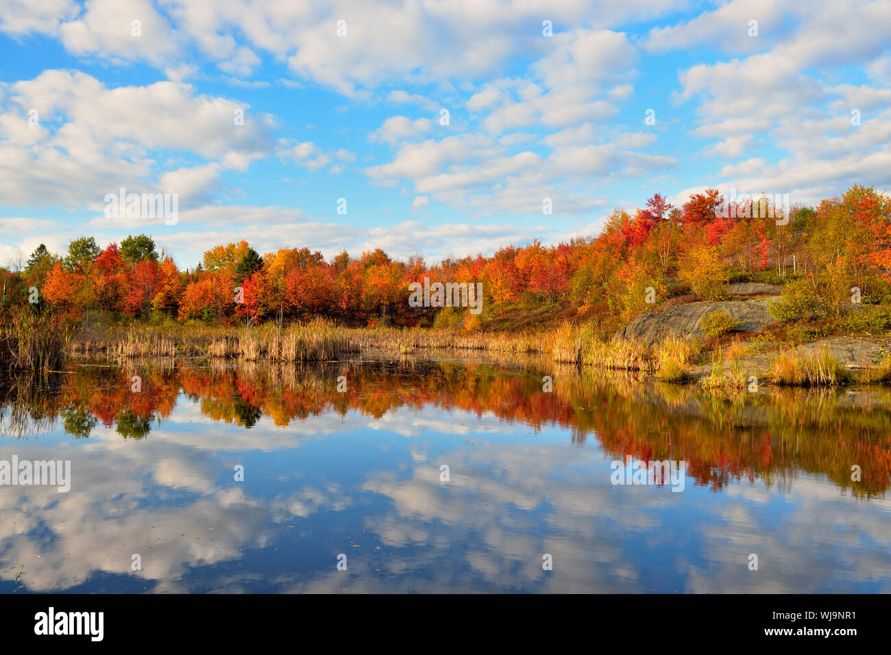 Automne couleur reflétée dans un étang de castors, Grand Sudbury, Ontario, Canada Banque D'Images