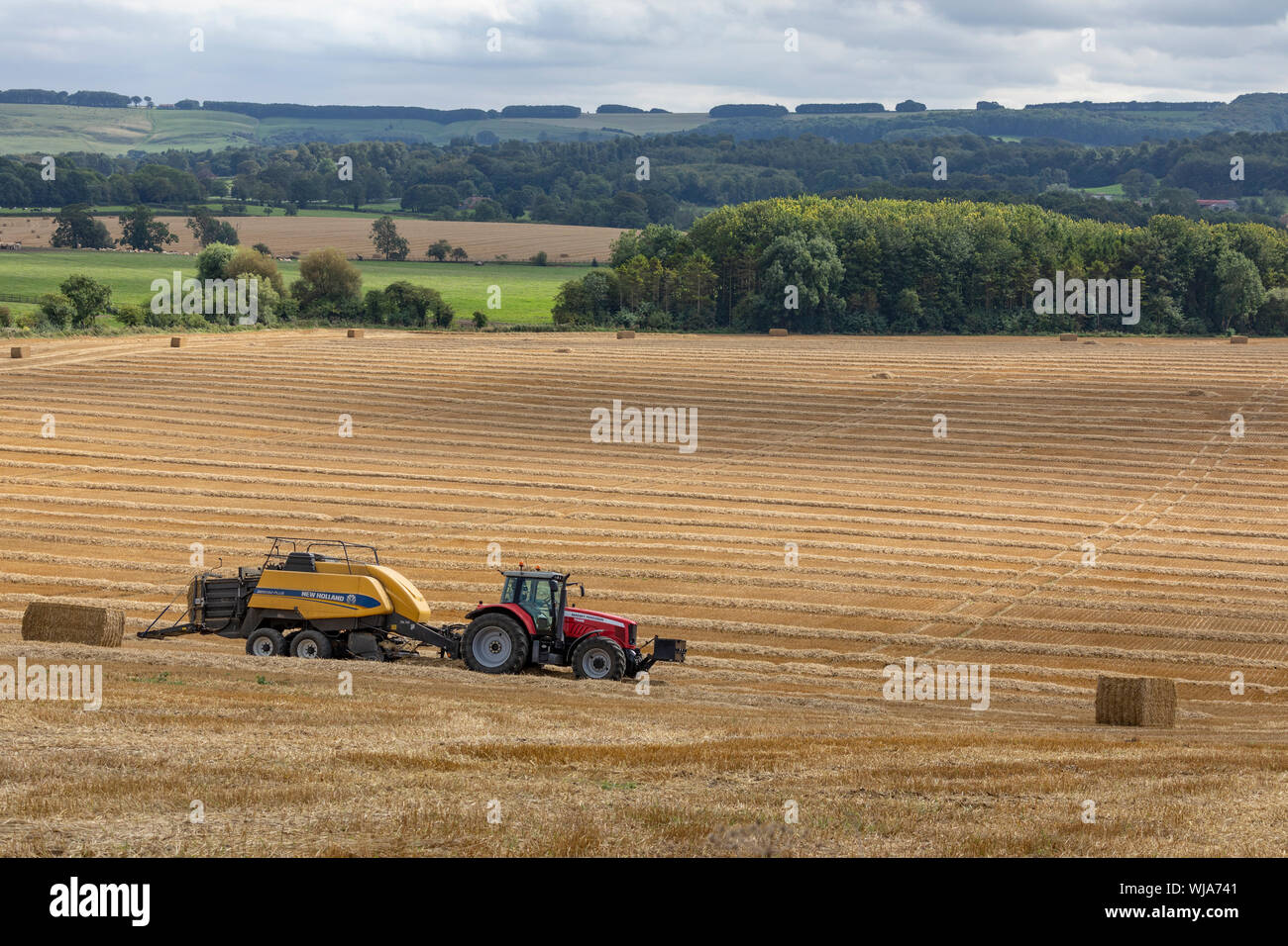 Balles de foin dans un champ de travail dans la campagne du Yorkshire du Nord - Royaume-Uni Banque D'Images