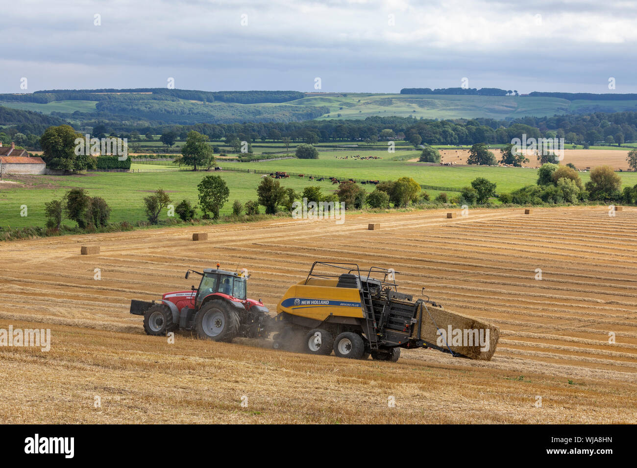 Presse à balles de foin - machines agricoles utilisés pour compresser un cut et culture (comme le foin, paille de lin, de coton, de marais, de foin ou d'ensilage en balles compactes) Banque D'Images