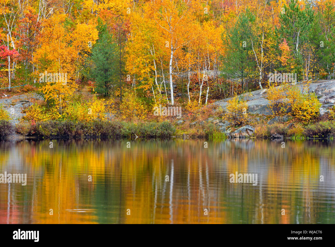 Réflexions d'automne dans le lac des Laurentides, Grand Sudbury, Ontario, Canada Banque D'Images