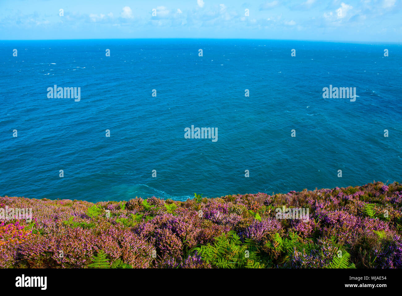 Point de Brandon, péninsule de Dingle, Irlande Banque D'Images