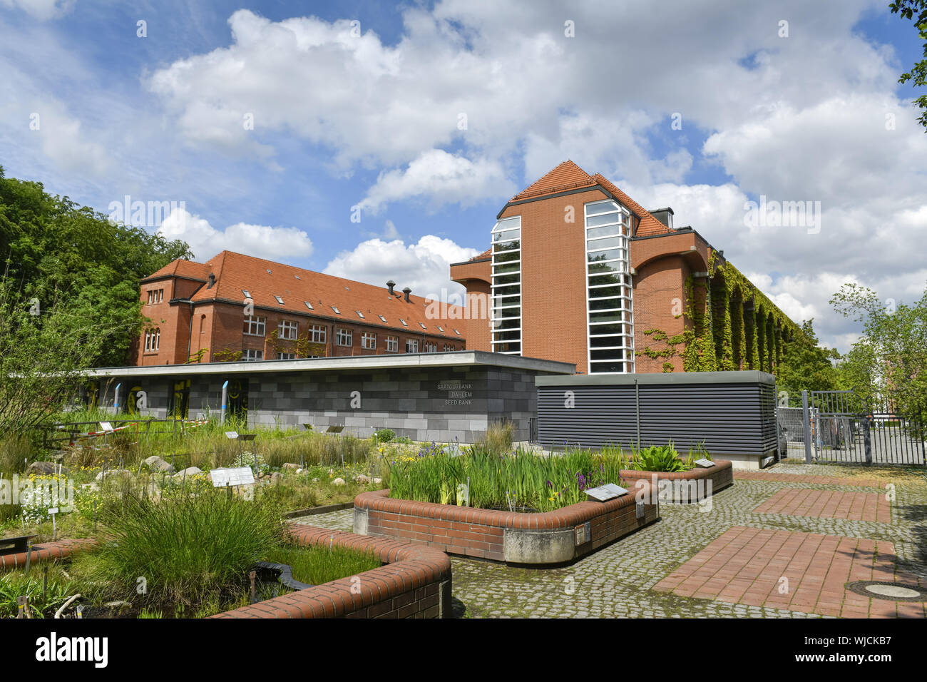 Voir, l'architecture, à l'extérieur, à l'extérieur, à l'extérieur vue, vue extérieure, Berlin, Allemagne, musée botanique, building, immeuble, Koenigin Luise Street, Queen' Banque D'Images