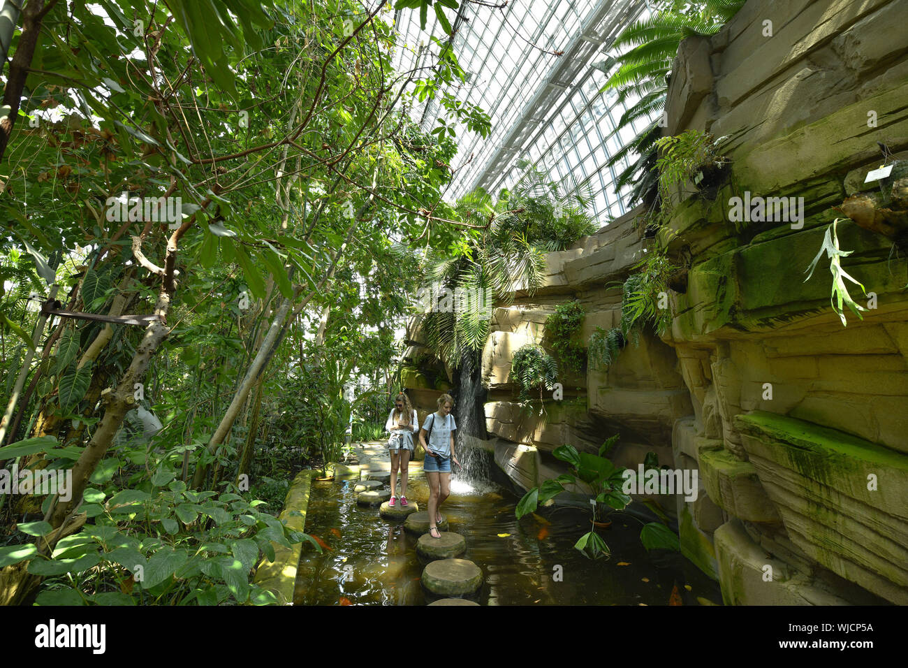 Voir, l'architecture, Berlin, le jardin botanique, l'Allemagne, building, immeuble, émissions de gaz à effet de serre,,, big house, big tropical maison tropicale, Banque D'Images