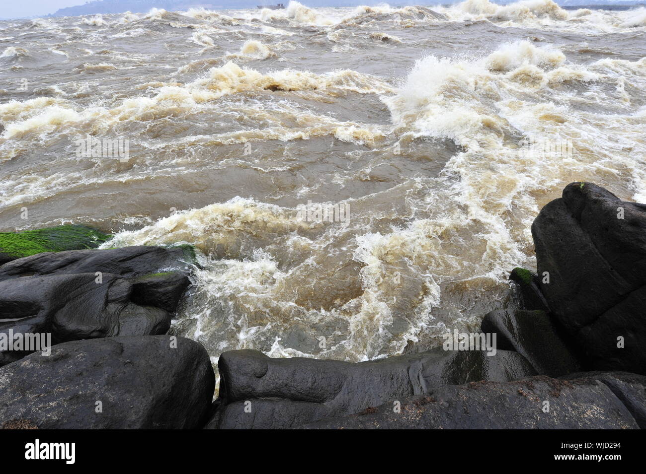 Seuils de Levingston sur le fleuve Congo. République démocratique du Congo. Afrique du Sud Banque D'Images