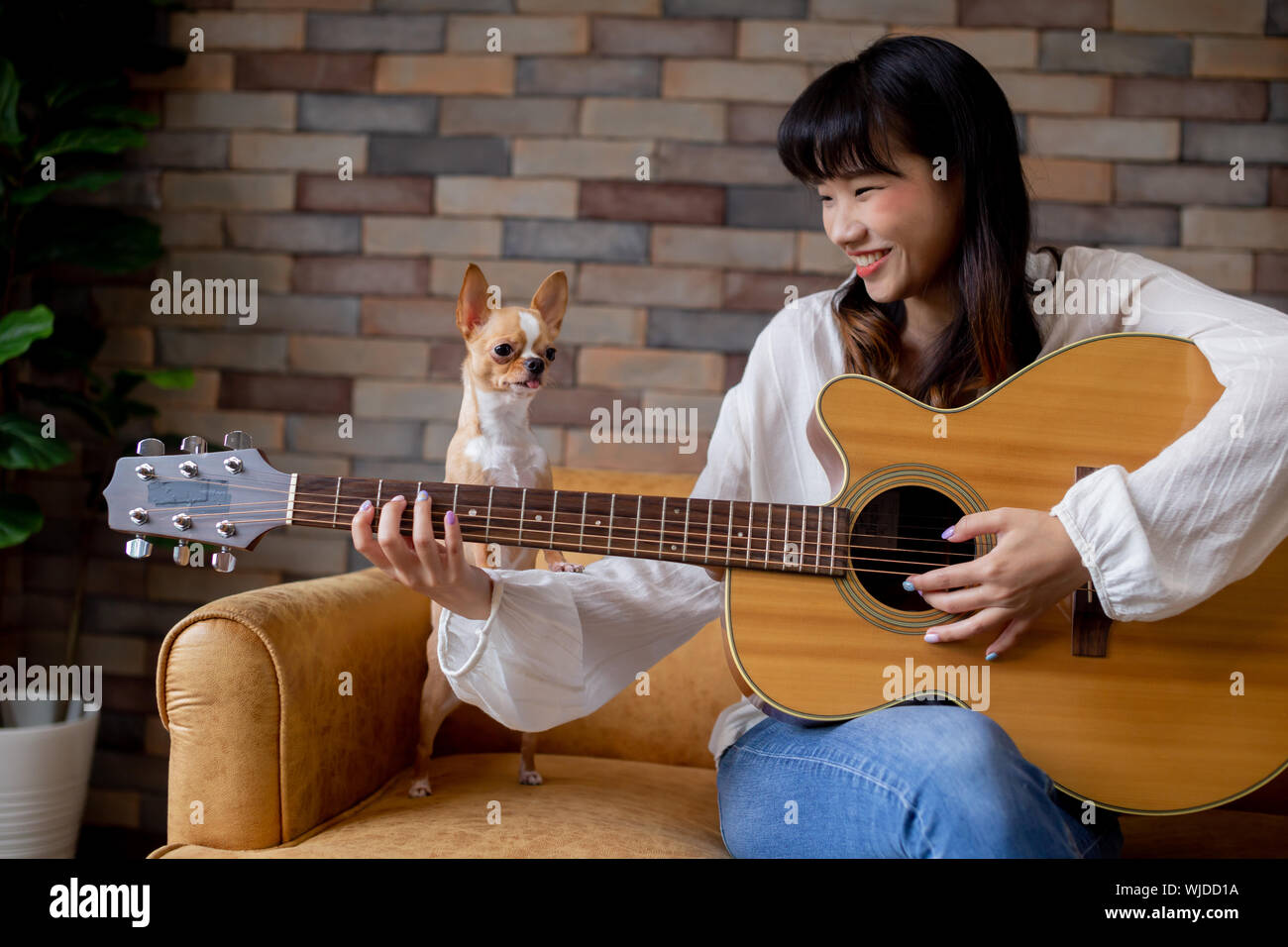 Young smiling woman playing guitar while sitting on sofa with chihuahua chien à la maison Banque D'Images