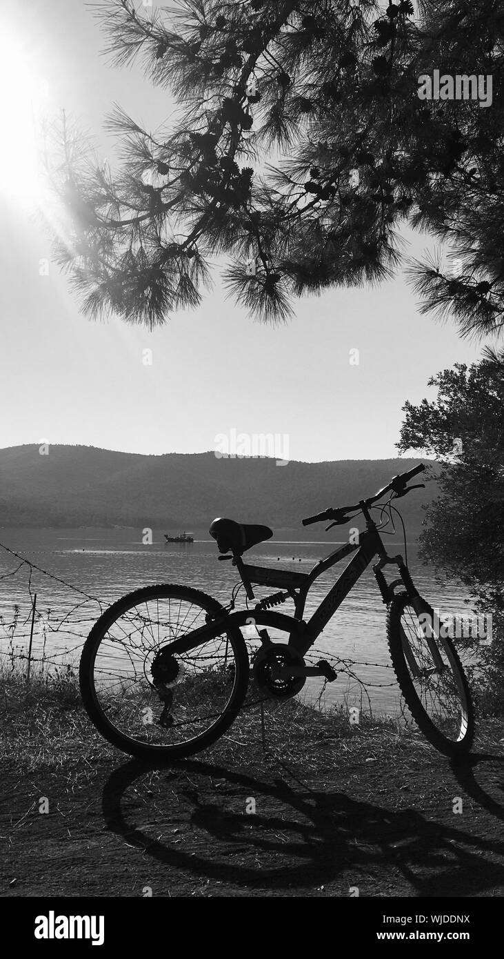 Photo verticale en niveaux de gris d'un vélo stationné au bord de l'eau près de l'arbre et des plantes Banque D'Images