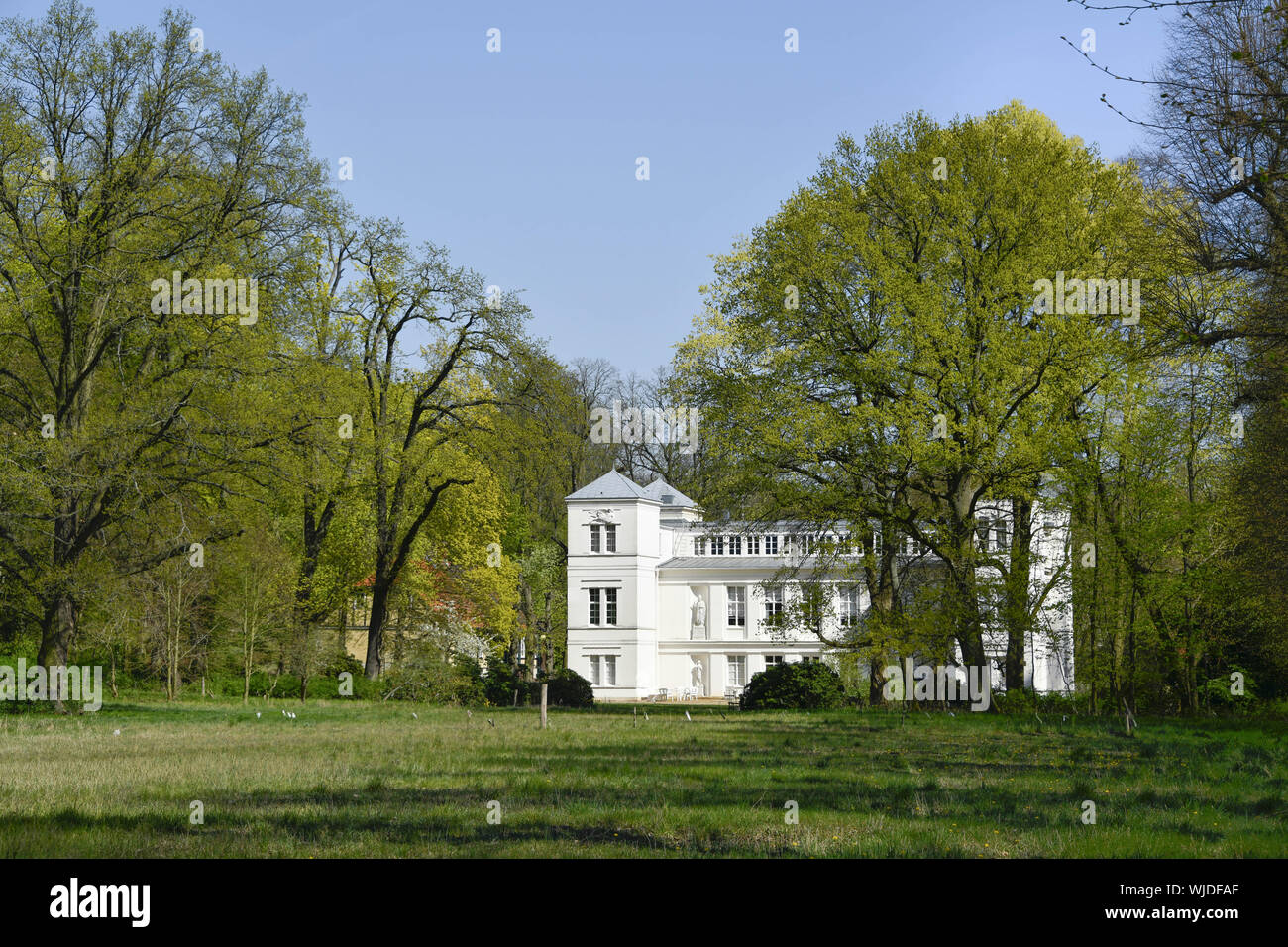 Adelheid Avenue, vue, à l'extérieur, à l'extérieur, à l'extérieur vue, vue extérieure, Berlin, Allemagne, Berlin-Tegel, forêt, Humboldt's Castle, le château de Humboldt, Humb Banque D'Images