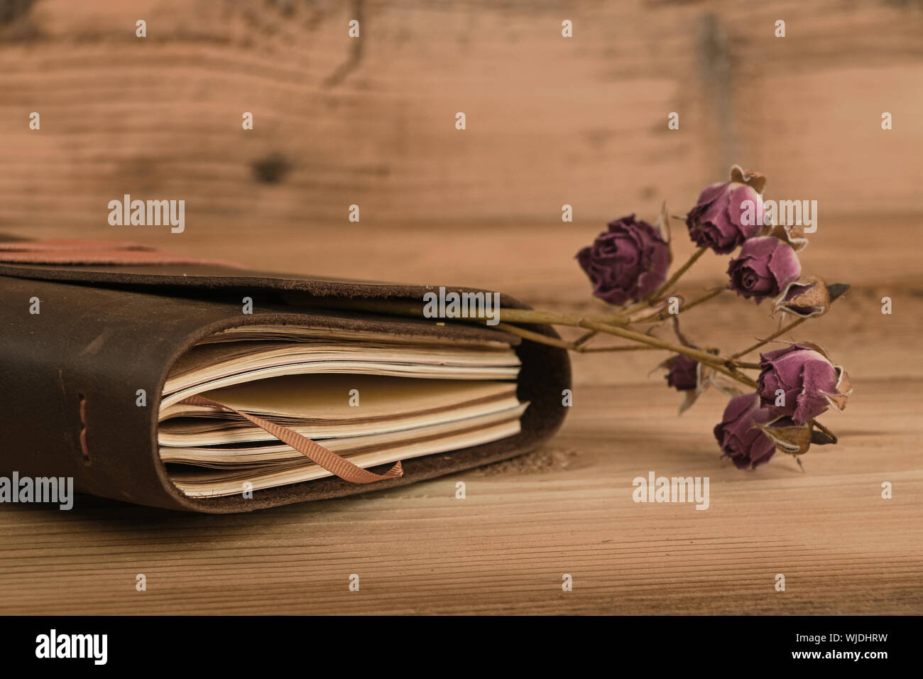 Journal Intime Ancien Banque d'image et photos - Alamy