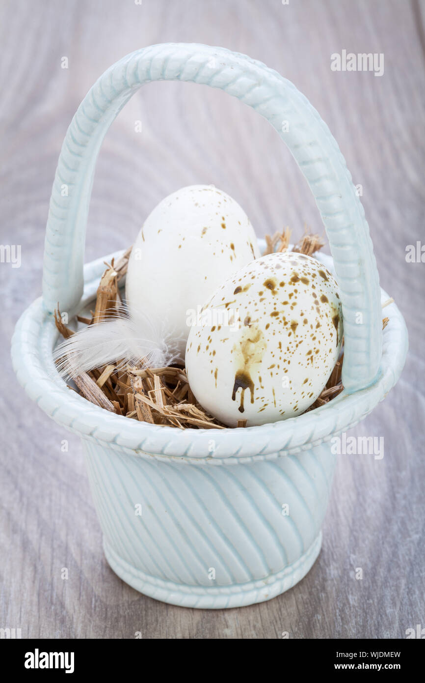 Trois bleu naturel oeufs de Pâques dans un panier Banque D'Images