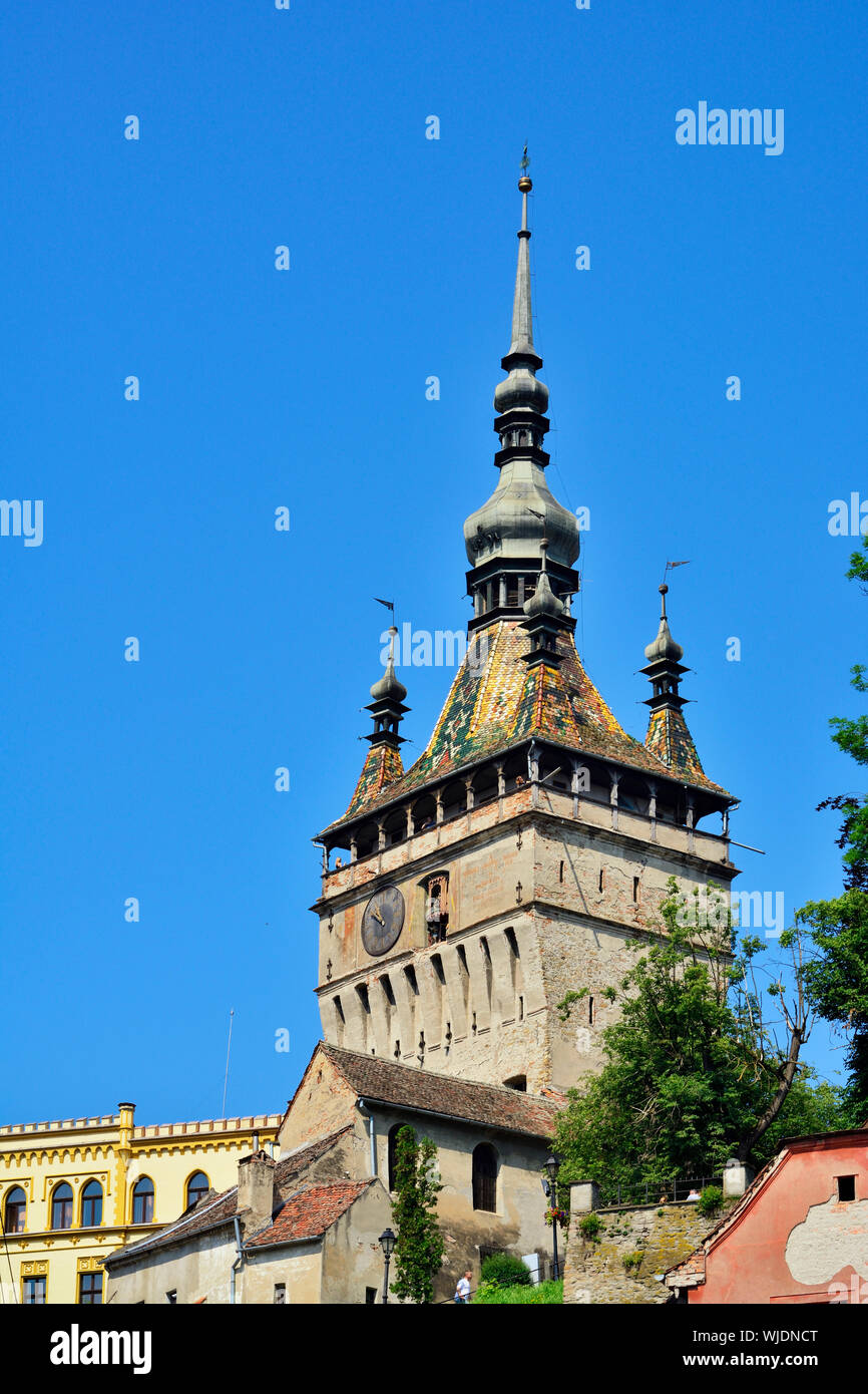 La tour de l'horloge, datant du 14ème siècle, défend la porte principale de la citadelle de la vieille ville médiévale. Sighisoara, Roumanie Banque D'Images