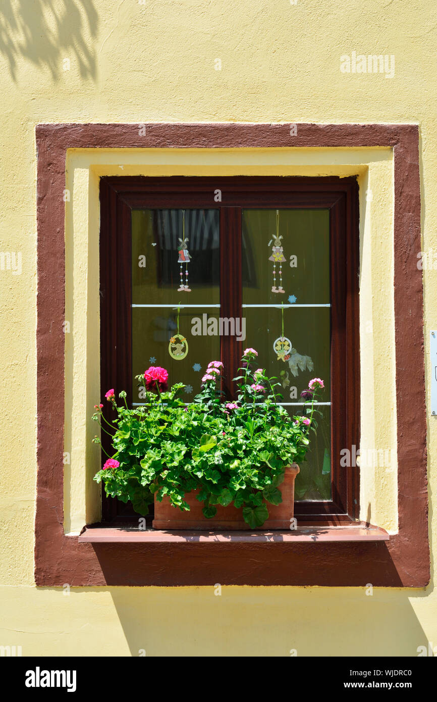 Fenêtre dans la vieille ville médiévale à l'intérieur de la citadelle. Site du patrimoine mondial de l'Unesco. Sighisoara, la Transylvanie. Roumanie Banque D'Images