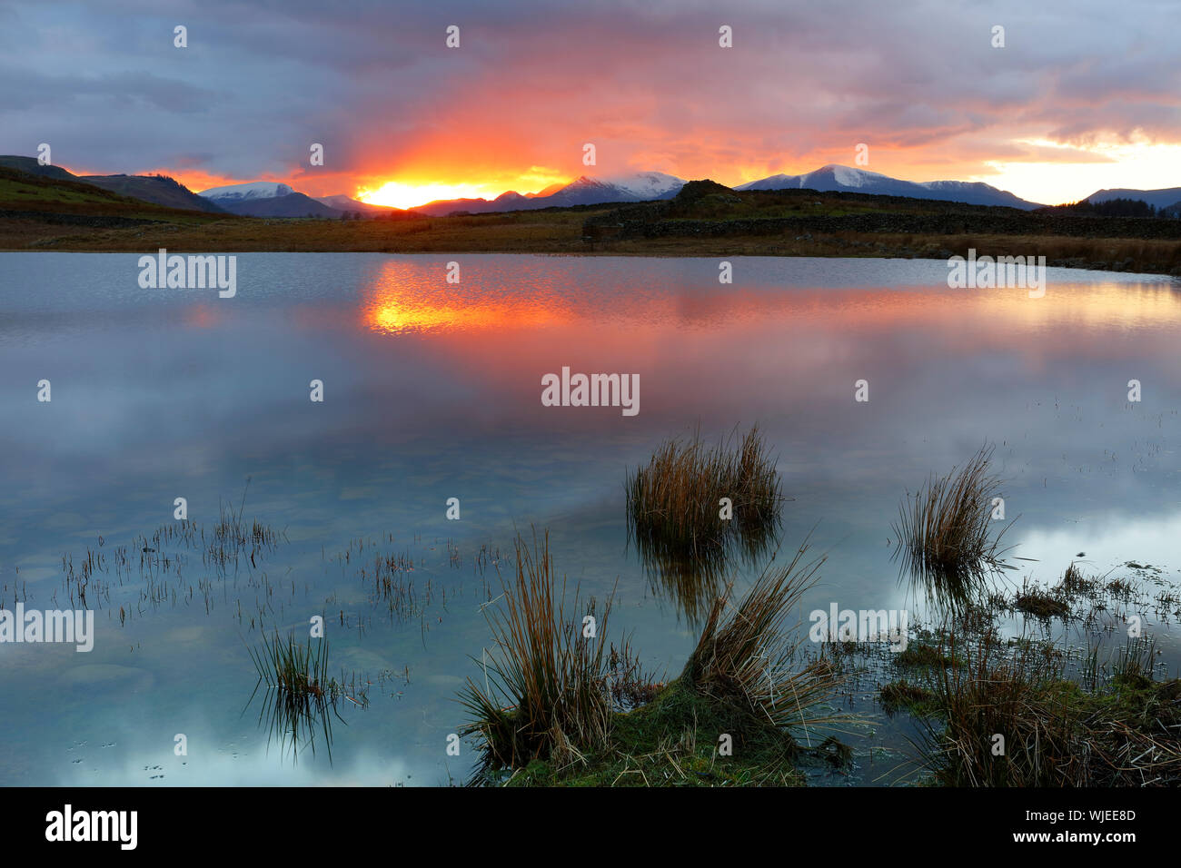 Le soleil se couche sur Tewit Tarn dans le Parc National du Lake district, Angleterre, Royaume-Uni Banque D'Images