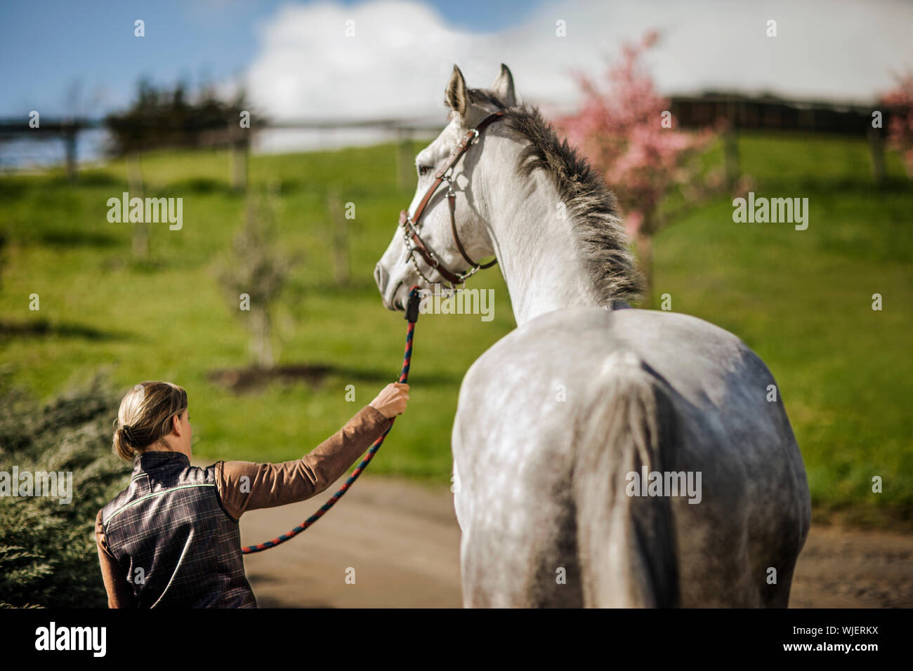 Femme menant son cheval sur un chemin rural. Banque D'Images