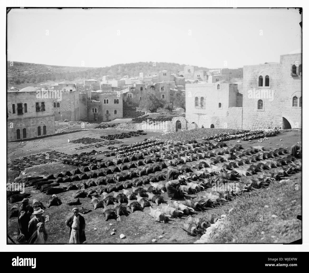 Hebron (El-Khalil). Tannage des peaux pour les bouteilles d'eau Banque D'Images