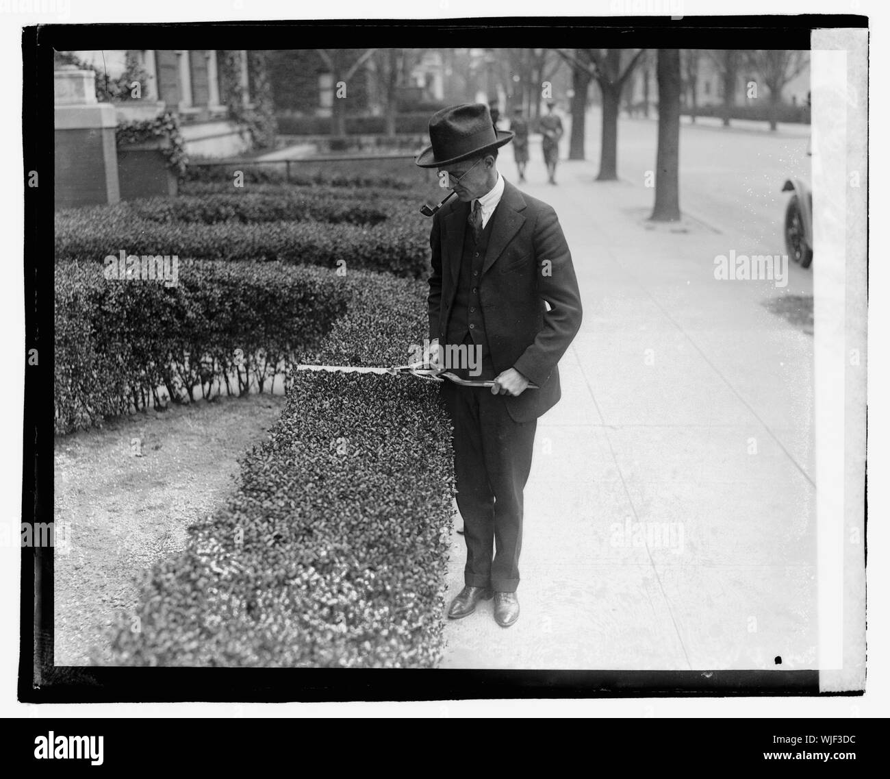 Taille-haie Banque D'Images