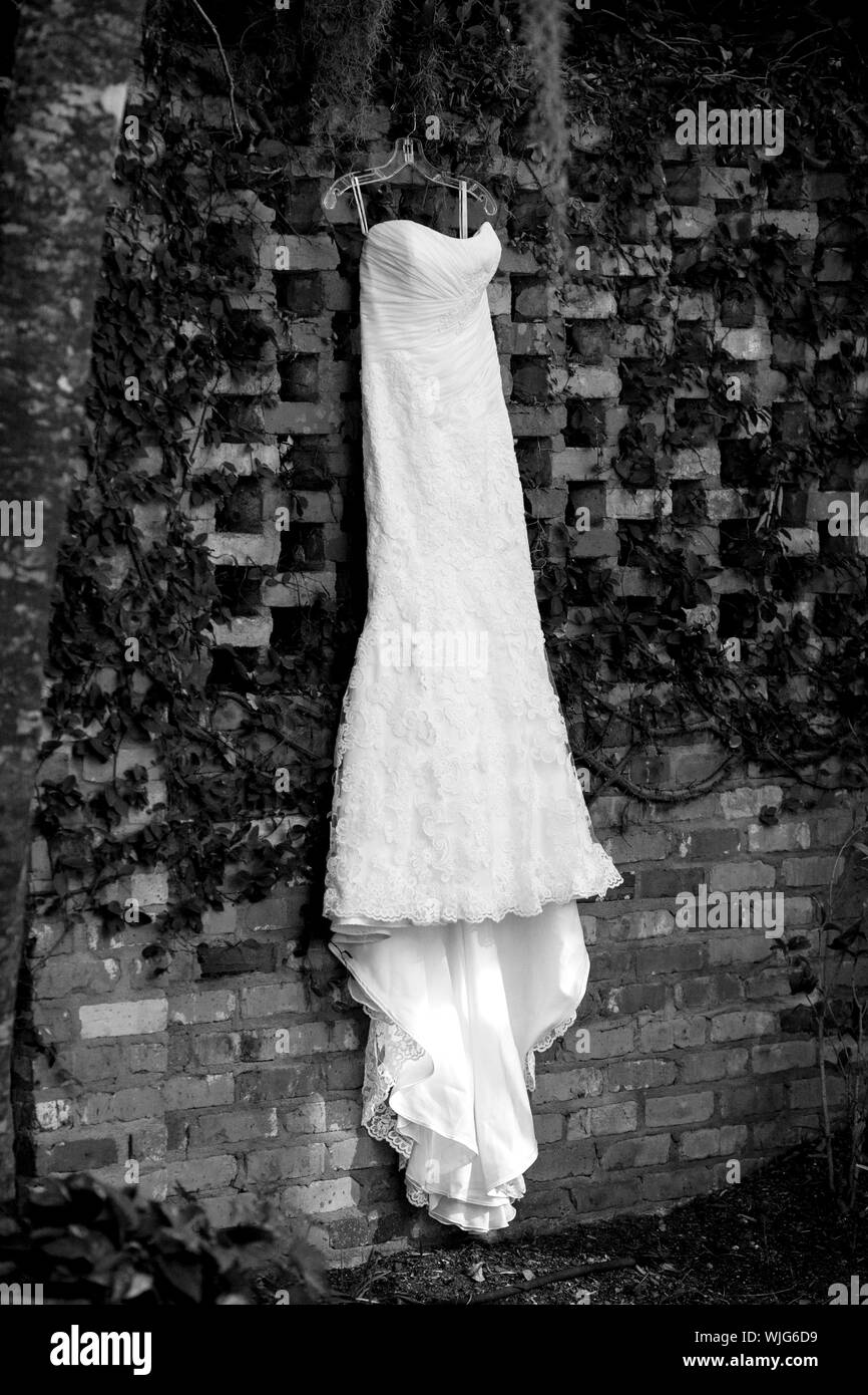 Robe de mariée blanche accrochée à un mur couvert de lierre Banque D'Images