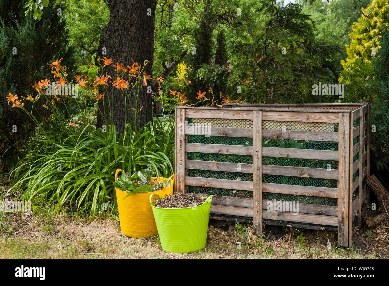 Bac à compost dans le jardin d'été Banque D'Images
