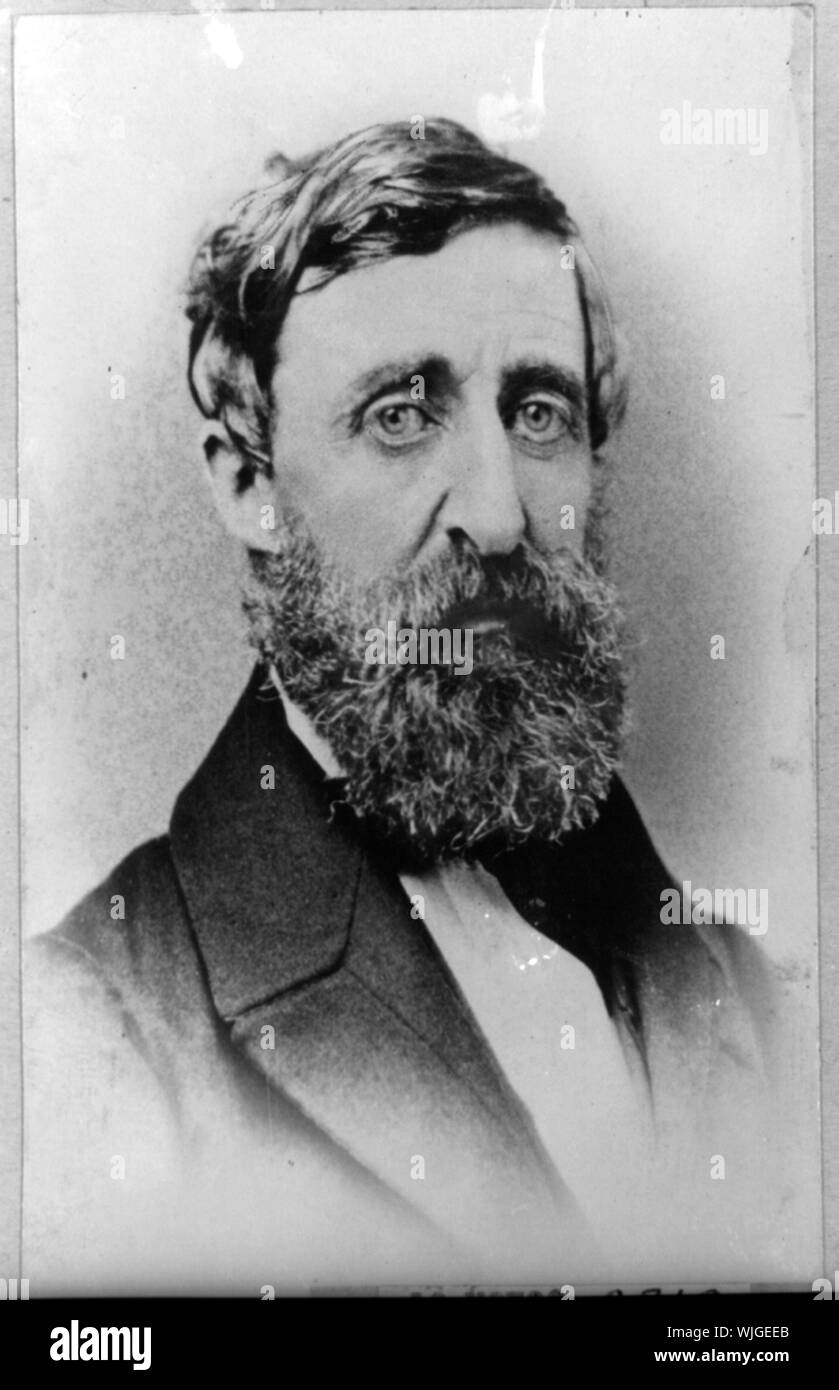 Henry David Thoreau, tête-et-épaules portrait, face à légèrement à droite Banque D'Images